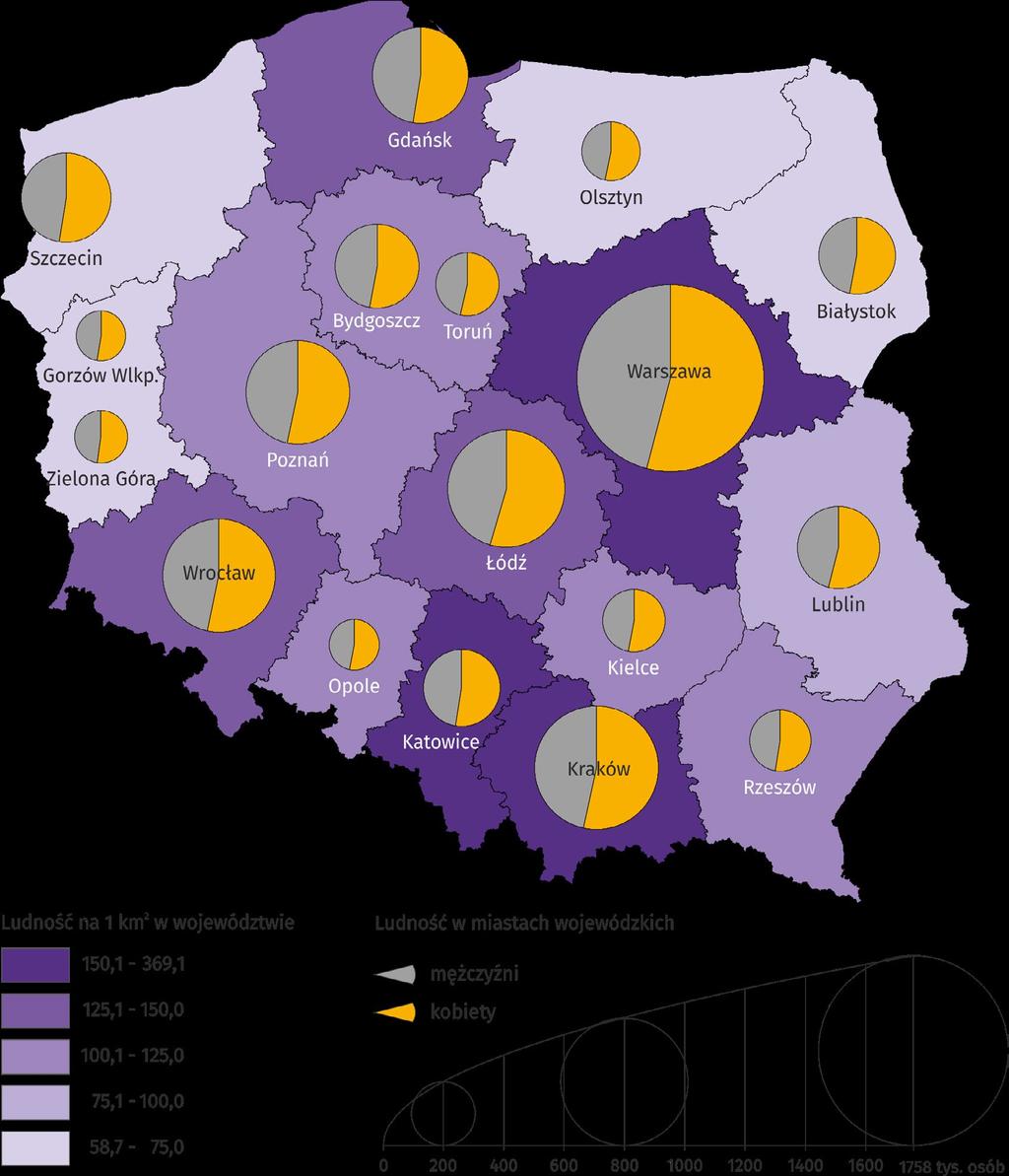 RZESZÓW NA TLE MIAST WOJEWÓDZKICH II.