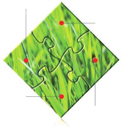 GRASSMASTER PRZEDE WSZYSTKIM JAKOŚĆ PASZY!