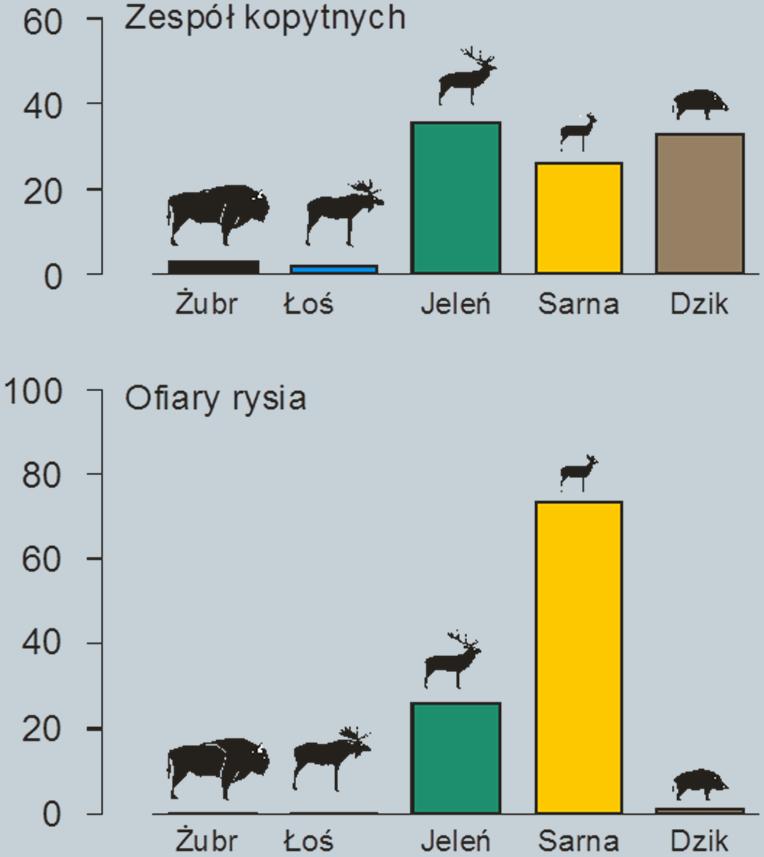 Jakościowy wpływ
