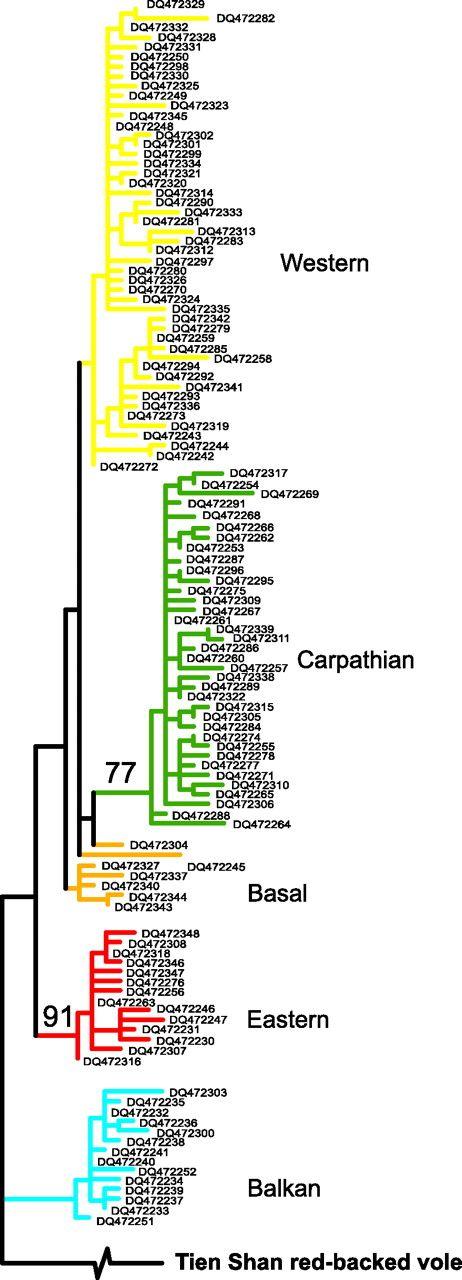 , PNAS 2006