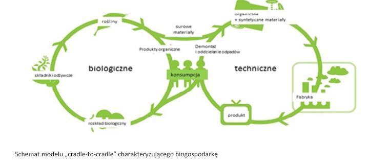 Biomasa jako podstawowy surowiec biogospodarki Działania kluczowe w obszarze tworzenia warunków dla rozwoju biogospodarki