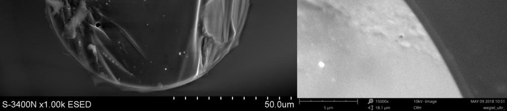The side surface of the coated fiber as well as its cross-section was evaluated. A continuous coat as well as regularly spaced drops free from visible porosity were identified (Fig. 1).