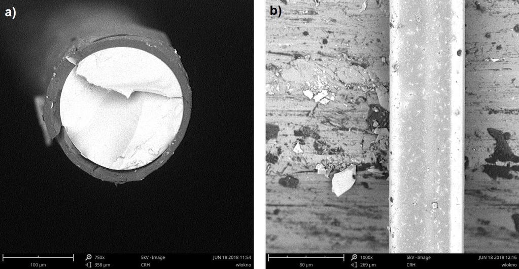The surface and cross-section of the coating after curing were examined using a scanning microscope (Fig. 5). The surface seems smooth.