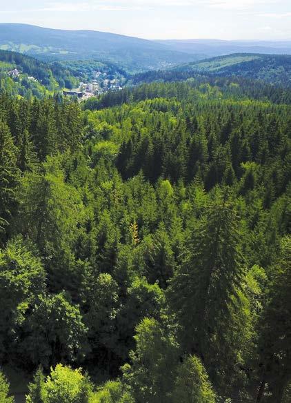 Harrachov Dlaczego Ścieżka w koronach drzew Karkonosze jest właśnie nad Jańskimi Łaźniami Jest kilka powodów, dla których Ścieżka znajduje się właśnie nad Jańskimi Łaźniami. 1.