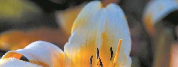 Though suffering comes into our lives at different times, we are not