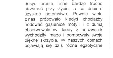 Co będzie w środku? Co będzie w środku? Rozwijając swoje zainteresowania entomologiczne, jeździmy w teren obserwować i łapać owady, robimy im zdjęcia, próbujemy je hodować.