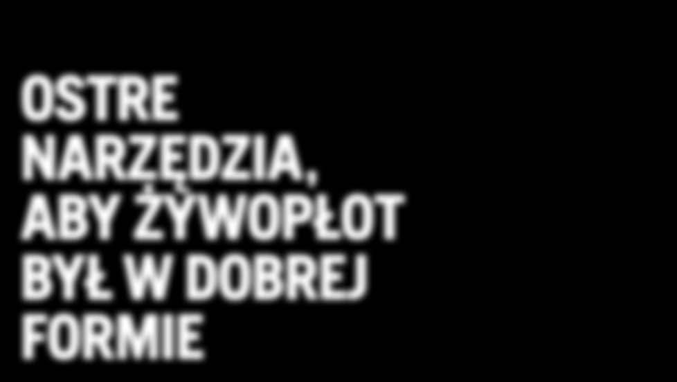 Ładnie utrzymany, zapewni właścicielowi prywatność, jednocześnie nadając ogrodowi strukturę i ładną wizualnie formę.