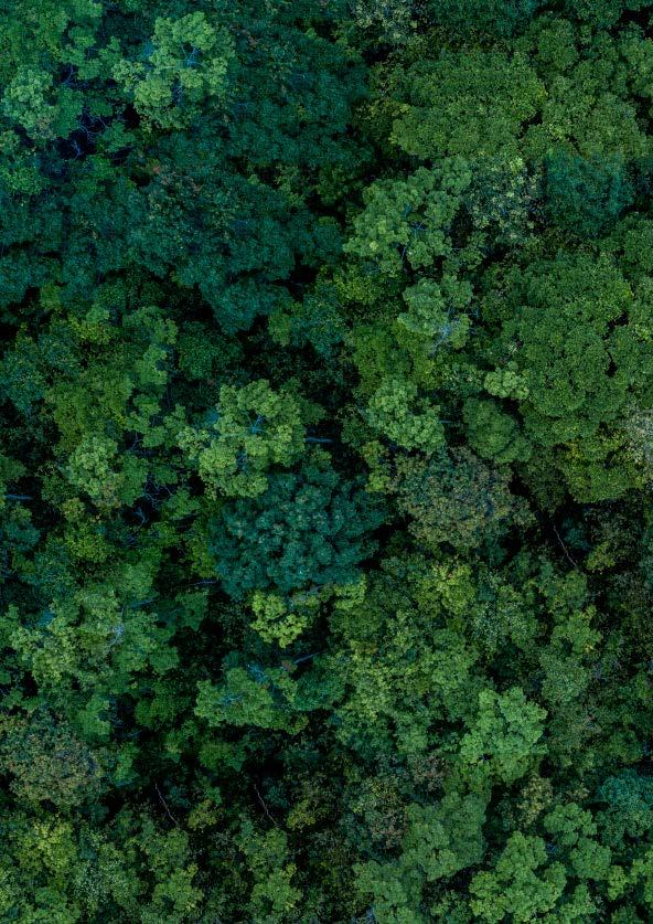 SUSTAINOVATE Sustainovate to strategiczne podejście Husqvarna Group do włączania zrównoważonego rozwoju na każdym etapie prowadzonej przez nas działalności.
