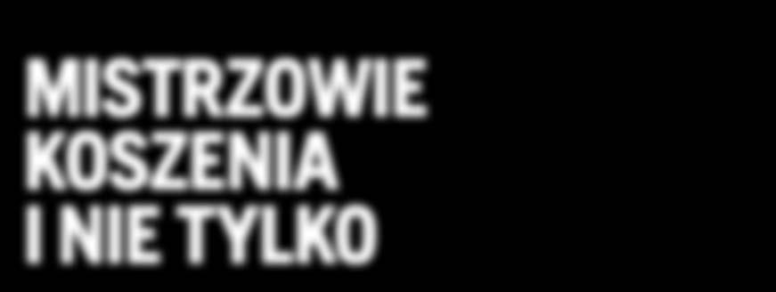 Służą one tak do wydajnej pielęgnacji trawnika, jak i wykonywania innych prac wokół domu.
