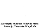 działalność gospodarczą Europejski Fundusz