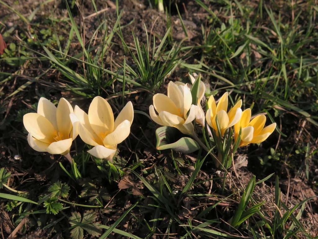 marzec