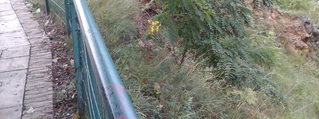 Jeżeli do tej głębokości nie wystąpi pustka krasowa podłoże można uznać za bezpieczne. Jeżeli będzie zaprojektowany fundament blokowy, wówczas także należy dokonać takiego samego zabiegu.