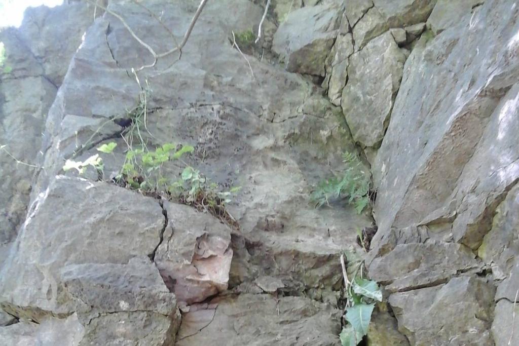 DOKUMENTACJA BADAŃ PODŁOŻA GRUNTOWEGO I OPINIA GEOTECHNICZNA Do Projektu Budowlanego Kładki Turystycznej