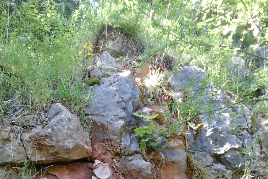 DOKUMENTACJA BADAŃ PODŁOŻA GRUNTOWEGO I OPINIA GEOTECHNICZNA Do Projektu Budowlanego Kładki Turystycznej oraz