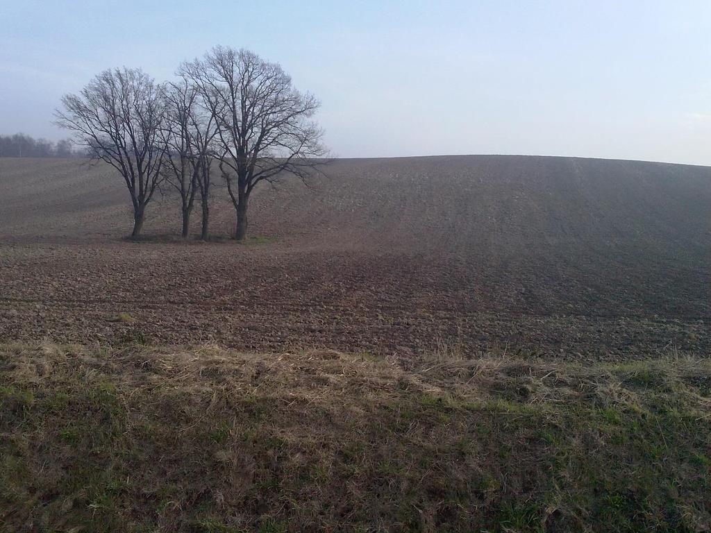 8. Ukształtowanie terenu: - grunty pofałdowane