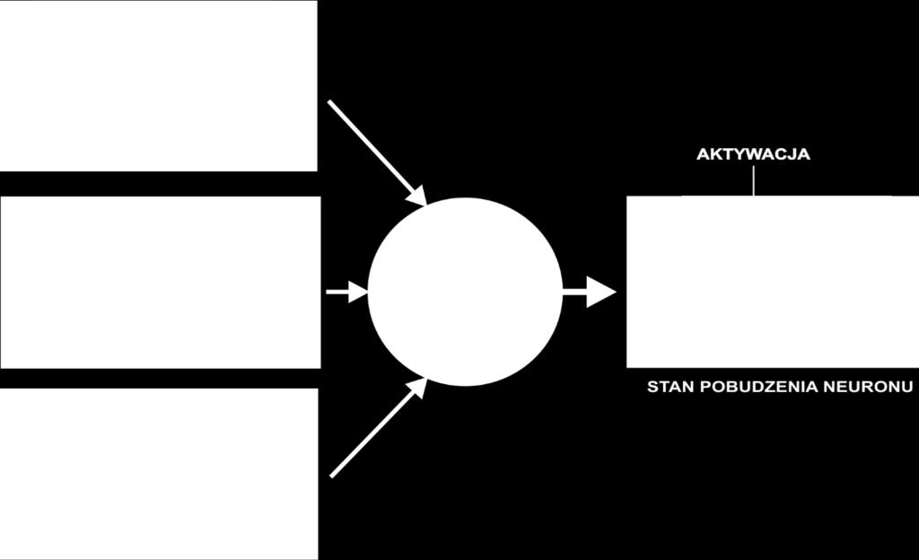 STAN NEURONU Zmienia się z upływem czasu pod wpływem wewnętrznych procesów, a nie tylko na skutek zewnętrznych