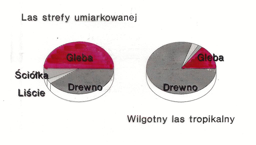 Produktywność netto ekosystemu lasu borealnego Produktywność netto ekosystemu g C m -2 rok -1 akumulacja węgla w biomasie produktywność netto produktywność netto latem Rok Ilvesniemi i in. 2009.