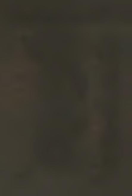 15 W v \ / N \ X \ \ \ \ \ \ \ \ \ I l