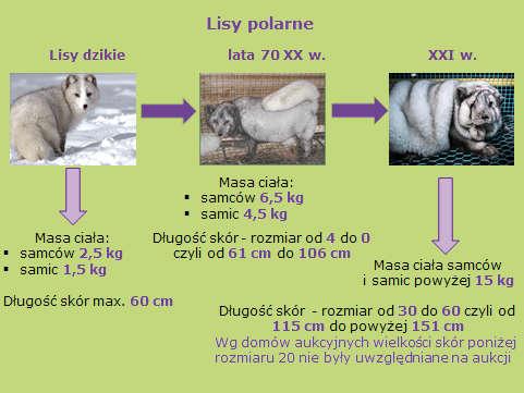 M. Piórkowska dziedziczone. Zdaniem Lasoty-Moskalewskiej (2005), jedynym sposobem powstawania nowych cech jest ostra selekcja.