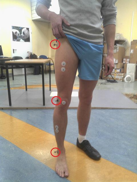 5. ANALIZA WYNIKÓW Wybrane parametry biomechaniczne dla kończyny dolnej:.