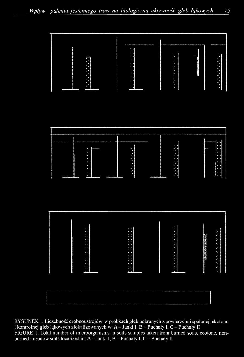Janki I, B - Puchały I, C - Puchały II FIGURE 1.