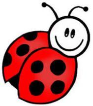 LADYBIRDS- BIEDRONKI (5,6-latki) I LIKE FRUIT, I LIKE VEGETABLES THE FAMILY AIMS- CELE: Poznanie nazw owoców i warzyw oraz