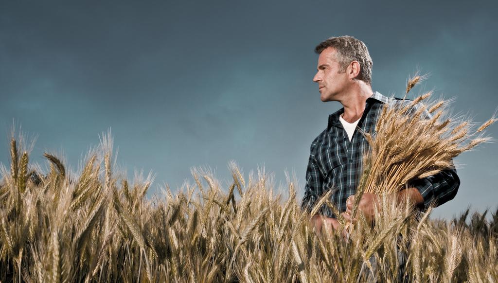 WARUNKI PRODUKCJI ROLNEJ W 2018 ROKU RAPORT BADAWCZY Z BADAŃ E-AGRIBUS