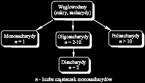 PODZIAŁ