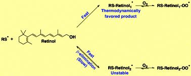 Hydrofobowe antyoksydanty niskocząsteczkowe Witamina A retinol jako antyoksydant działa zarówno w I jak i II linii obrony przed RFT