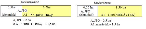 Dane deklarowane A JPO 3,00 ha (I+II+III) A1 P STR 3,00 ha (I+II+III) Wyniki kontroli A JPO 2,80 ha (I+II+III) - bezpośredni pomiar A1 P STR 2,80 ha (I+II+III) - bezpośredni pomiar Rys. 64.