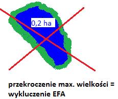 - rolnik zmodyfikował istniejącą geometrię EFA w ramach deklarowanych danych graficznych, - z treści aktualnej ortofotomapy lub wywiadu terenowego wynika, że wymiary/kształt EFA uległ zmianie, -