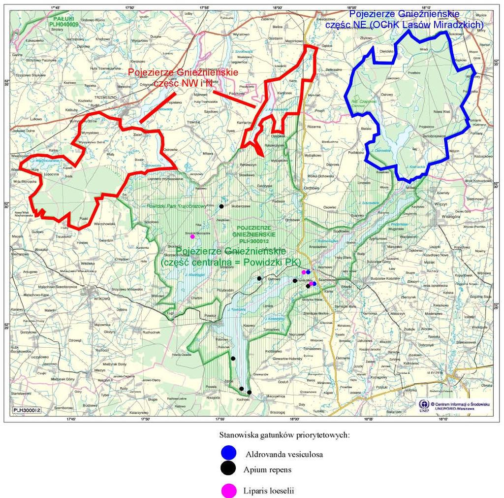 Ryc: Stanowiska gatunków Natura 2000 znane na Pojezierzu Gnieźnieńskim szkicowa mapka