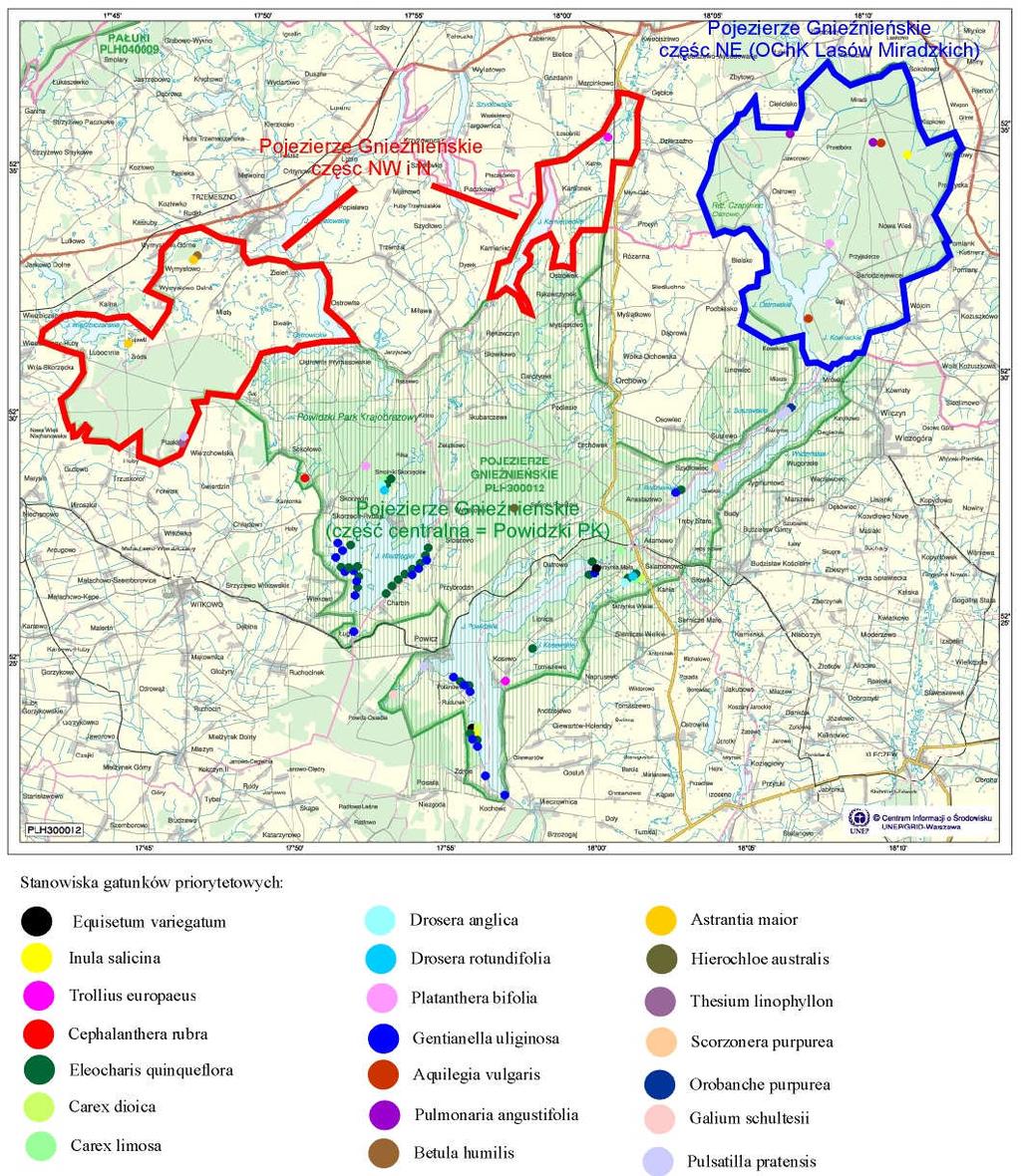 Ryc: Stanowiska innych cennych gatunków roślin znane na Pojezierzu Gnieźnieńskim szkicowa