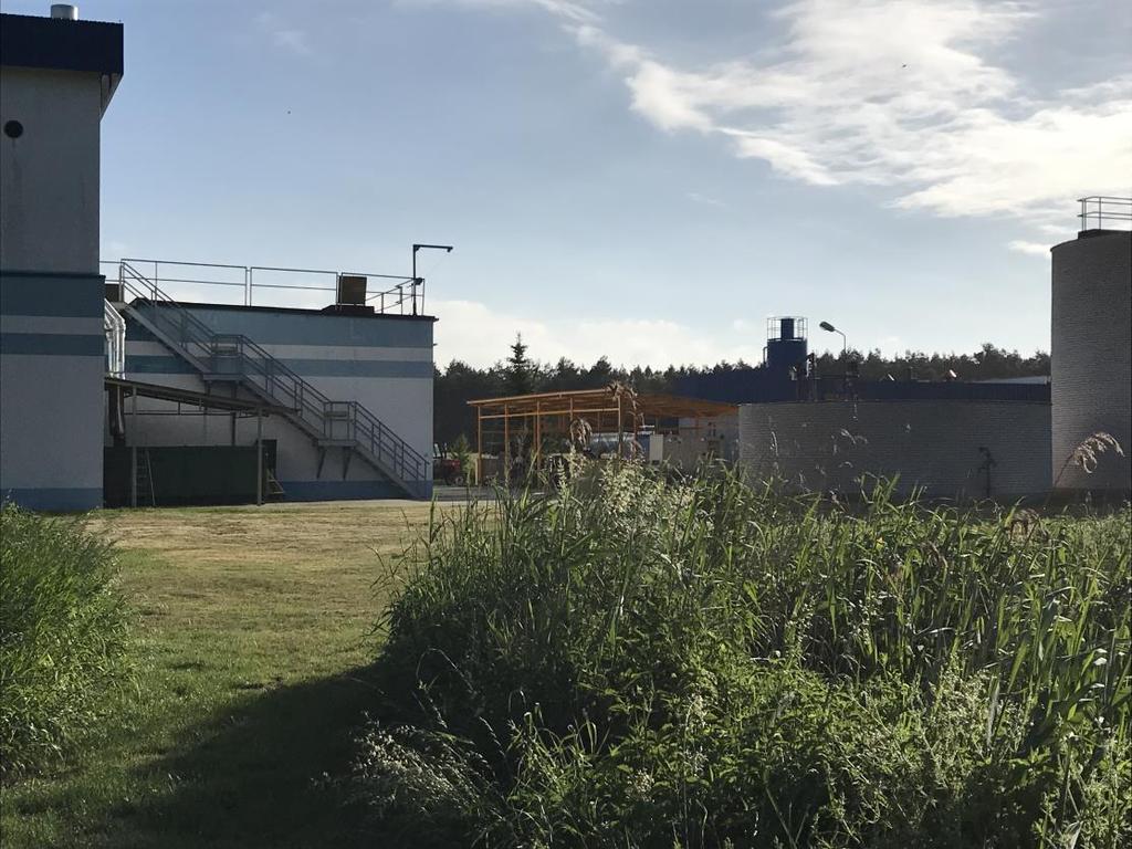 28 Teren pod budowę nowych bioreaktorów - widok od