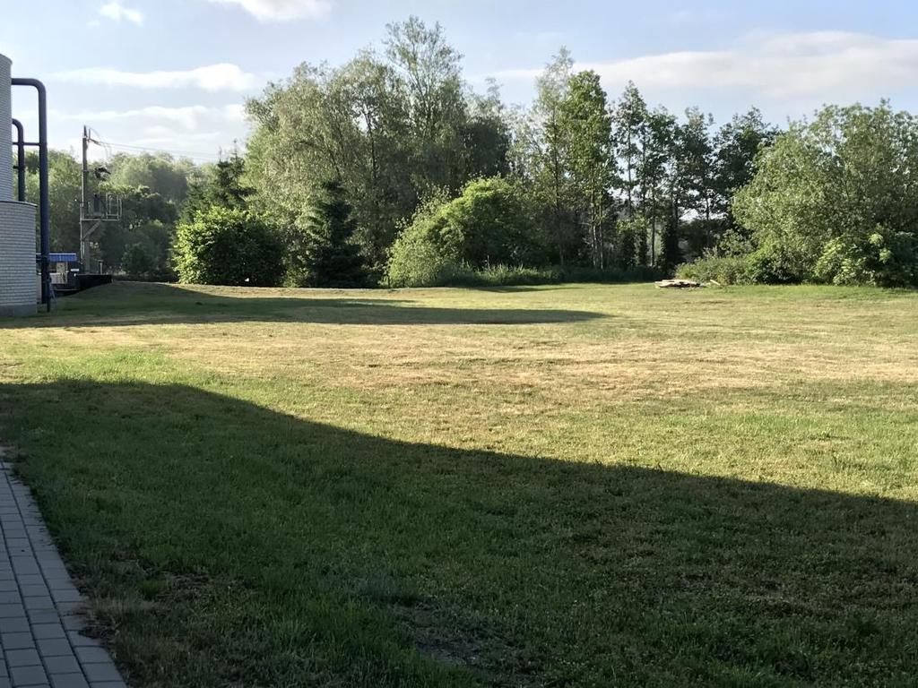 30 Teren pod budowę nowych bioreaktorów - widok od