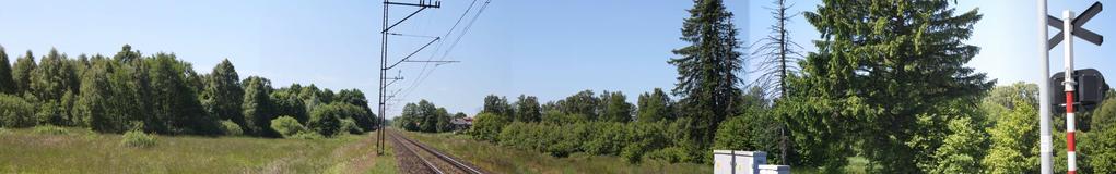 12 Widok w kierunku Sławna z ww. linii kolejowej Sławno Słupsk w rejonie Warszkowa (zabudowa Sławna, w tym wieża kościoła niewidoczne - odległość ok.