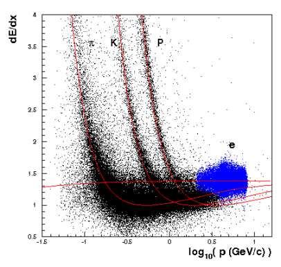 IV.3. Detektor Belle 5 RYSUNEK IV-3: Zmierzone straty energii na jonizację w funkcji pędu (w układzie laboratoryjnym). Linie ciągłe pokazują przewidywania dla poszczególnych rodzajów cząstek [74]. IV.3.4 Liczniki czasu przelotu, TOF Detektor ten składa się ze 18 liczników czasu przelotu (TOF), zbudowanych z plastikowego scyntylatora, zgrupowanych w 64 modułach.