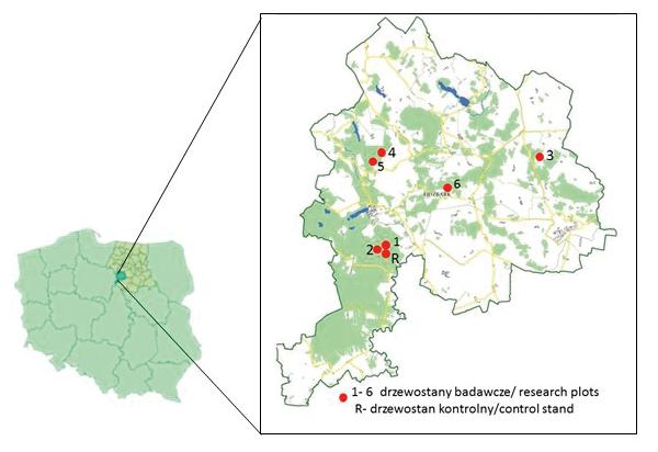 Materiał i metody Badania przeprowadzono w północno-wschodniej Polsce w Nadleśnictwie Lidzbark (RDLP Olsztyn) (ryc. 1).