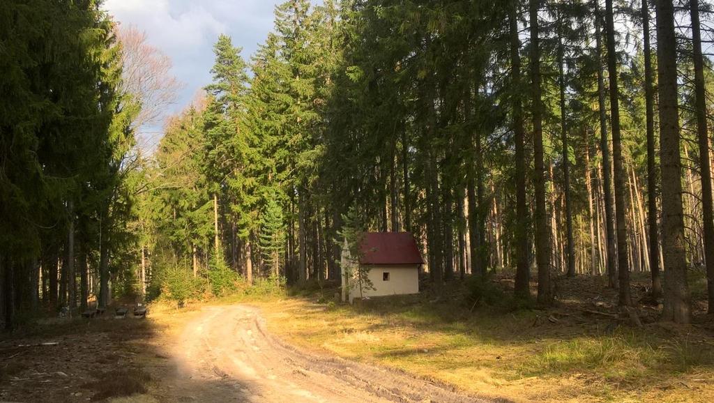 Polanicą Górną a Szczytną o godzinie 10:00.