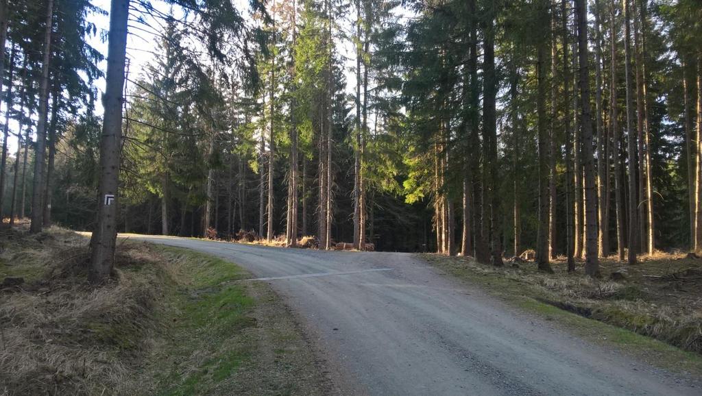 Praskim Traktem (czerwony szlak rowerowy) dojdziemy do miejsca, w którym