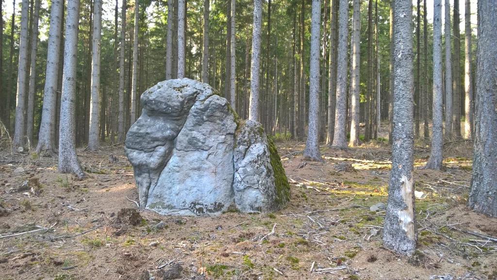 przez [padające] drzewo, ufundowany prawdopodobnie przez kolegów pracownika leśnego, który zginął podczas pracy.