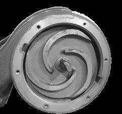Uszczelnienie mechaniczne: - SiC/SiC/NBR (od strony wirnika) - Węgiel /ceramika /NBR (od strony silnika) (od 6 kw w górę w przypadku DSF) - Pierścień uszczelniający w