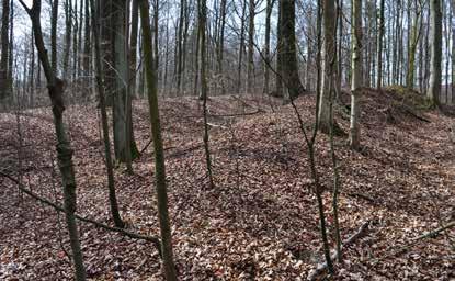 Wzgórze posiada bardzo wyraźną, wyodrębniającą się z otoczenia formę terenową od strony północnej, wschodniej i zachodniej, w stosunku do jarów z bardzo stromymi zboczami o przewyższeniu sięgającym