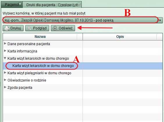 Rys. 28 Po wybraniu konkretnego wydruku A, wskazaniu komórki w której pacjent ma lub miał pobyt B użytkownik może dokonać podglądu wybranego dokumentu (przycisk Podgląd) i wydruku