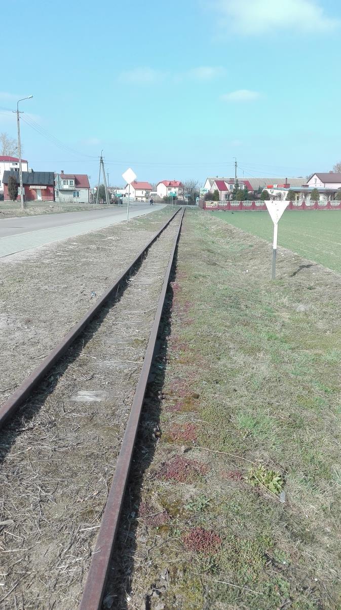 Rysunek 19. Kolejka wąskotorowa. Zdjęcie: Urząd Gminy Przasnysz. Słuszność wyboru wymienionych obszarów potwierdzona została podczas konsultacji społecznych.