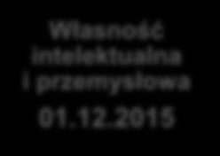 2015 Kamienie milowe procesu komercjalizacji projektów technologicznych Dlaczego nie należy bać się ryzyka i porażki w procesie komercjalizacji?