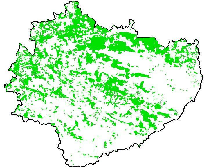 Położenie lasów na terenie województwa świętokrzyskiego % powierzchni lasów i terenów zadrzewionych wg powiatów 70 60 57,7 50 47,43 47,37 40 38,33 35,53 % 70 60 50 40 30 20 10 0 57,7 47,43 47,37