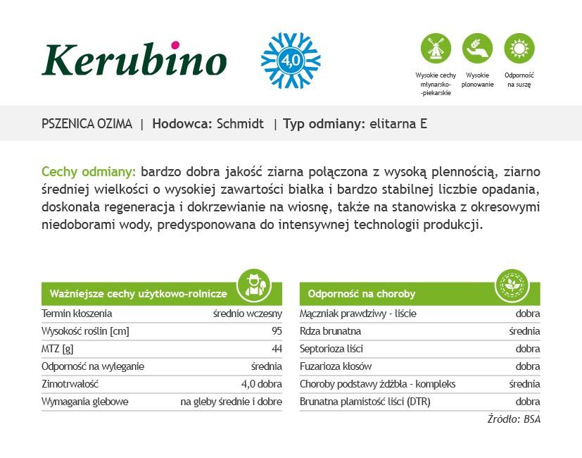 https://www. Czym charakteryzuje się pszenica ozima Kerubino? Jakie są najważniejsze cechy odmiany Kerubino?