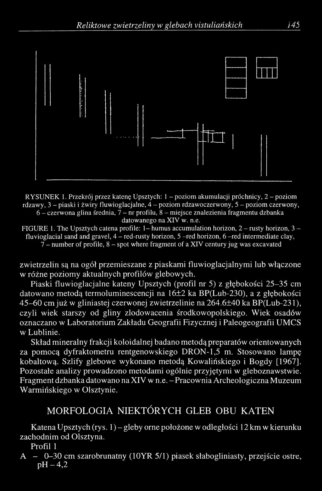 nr profilu, 8 - miejsce znalezienia fragmentu dzbanka datowanego na XIV w. n.e. FIGURE 1.