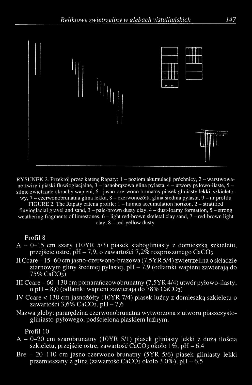 wapieni, 6 - jasno-czerwono-brunatny piasek gliniasty lekki, szkieletowy, 7 - czerwonobrunatna glina lekka, 8 - czerwonożółta glina średnia pylasta, 9 - nr profilu FIGURE 2.